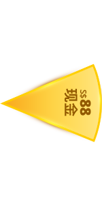 Pie Slice 5